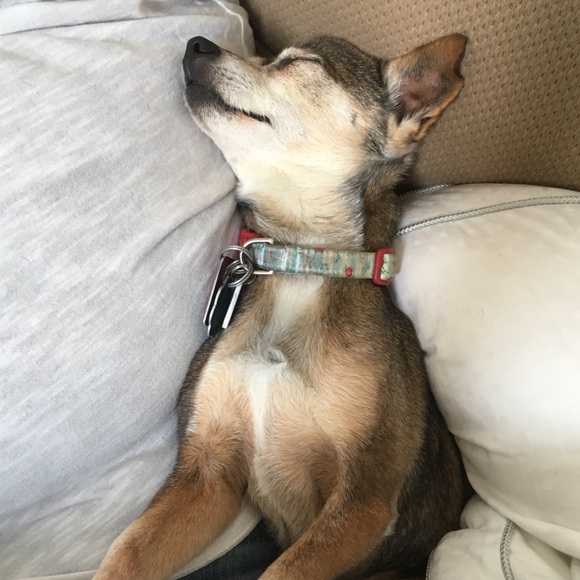 Meet your Posher, Rachel - Picture 6 of 9